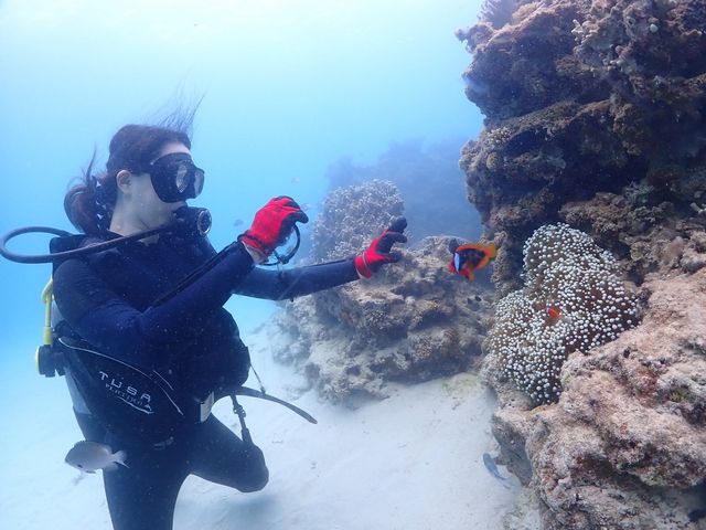 �B�e���Ă���Ƃ�����B�e���Ă����������ʐ^�ł��B_SHIZUKA