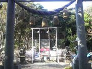 Ƃ񂳂̎ʐ_Ђ̓eʐ^2