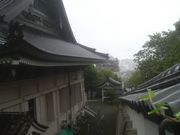 Ƃ񂳂̋T䏟Ya̒n̓eʐ^1