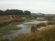 Ƃ񂳂̐_ސ쌧Vn̓eʐ^3