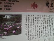 ���Ƃ��񂳂�̗������̓��e�ʐ^2