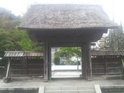 ���Ƃ��񂳂�̗������̓��e�ʐ^3