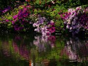 white@police̐_򉑂̓eʐ^1