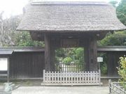 ���Ƃ��񂳂�̏�y���̓��e�ʐ^1