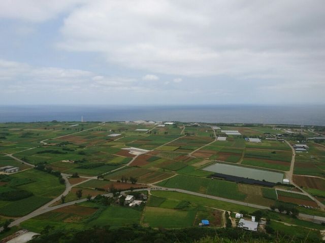 ���ォ��̌i�F_�ɍ]���^�b�`���[