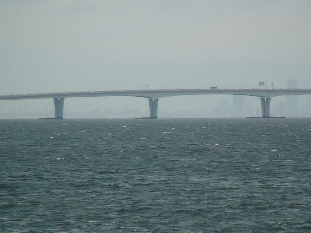 �A�N�A���C��_���P�Y�C�l����