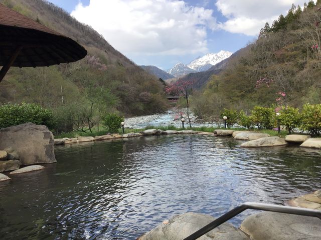 �i�F�ō�_�V�䍂����