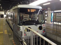 �^�Ⴓ��̓��}���c�J�� ������ˉw�ւ̓��e�ʐ^1