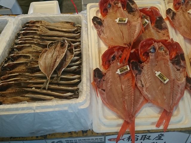 ����_�`�̒��s