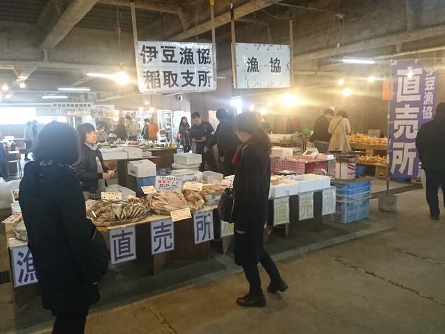 ���s���i_�`�̒��s