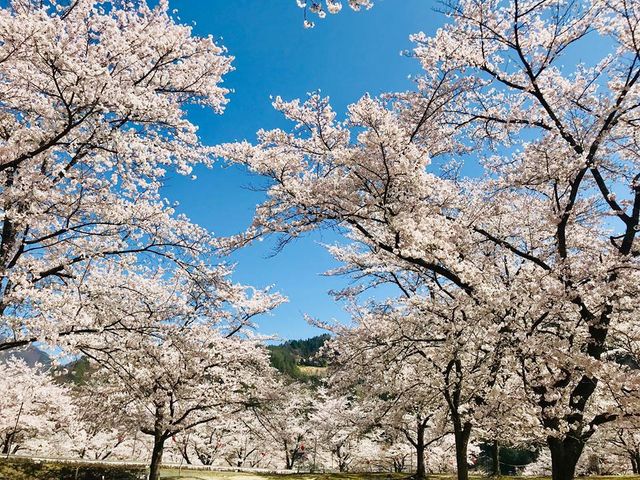 �i�C����̑吼�����̍��̓��e�ʐ^1