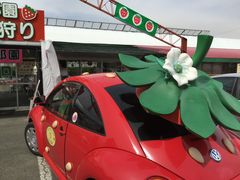 hƂ䂤qSTRAWBERRY FARM@zYւ̓eʐ^1