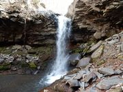 w-masa����̐烖��(�쑊�ؑ�)�̓��e�ʐ^1