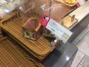 Kuda12ANDERSEN AgX̓eʐ^1