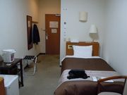 okapon̑̌𗬎{݋S̓̓eʐ^1