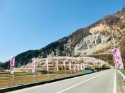 �i�C����̑吼�����̍��̓��e�ʐ^1