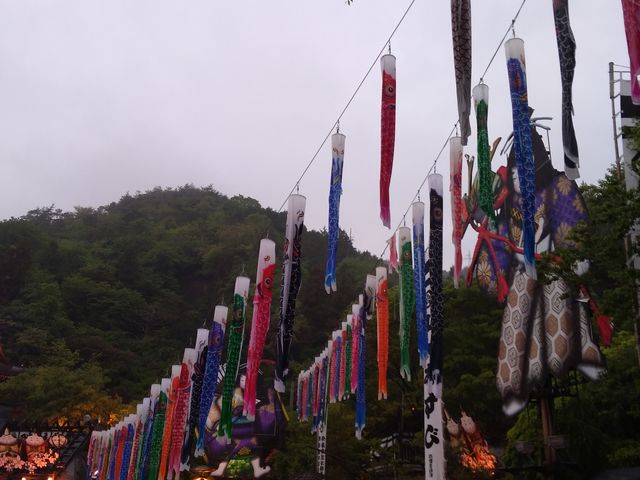 �~�n��тɂ��ǂ��̓��̌�̂ڂ肪�������Ă��܂����B_�����R��