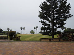 �Ȃ����񂳂�̌����̕l�ւ̓��e�ʐ^1