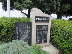 �Ԃ���񂳂�̃J�����̐�������̔�ւ̓��e�ʐ^1