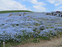 �Ԃ���񂳂�̍��c�Ђ����C�l�����ւ̓��e�ʐ^1