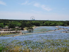 �q�j����̍��c�Ђ����C�l�����ւ̓��e�ʐ^1