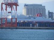 Ԃ񂳂̓kO[^[~iЂ̓eʐ^1