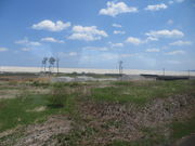 Ԃ񂳂̏\{YC݂̓eʐ^1