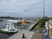 Ԃ񂳂̏ۂ̕@p[N̓eʐ^2