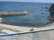 Ԃ񂳂̗͎C݂̓eʐ^2