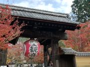 DoubleO7̋֎뉀i@j̓eʐ^4