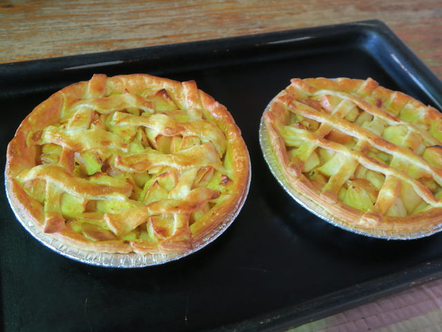 �o�����I�I_�O�a�ό��_��