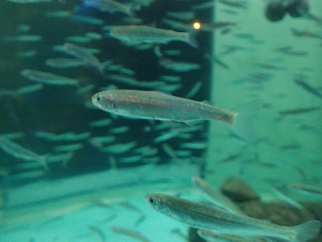 ���̒t��_��������������