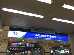 �q���V����̏��c�}�d�S�V�h�w�ւ̓��e�ʐ^1