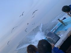 Ƃ񂳂̏M̓AN[Yւ̓eʐ^1