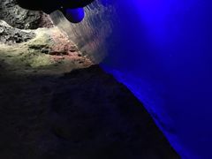 Ƃ񂳂̏M̓AN[Yւ̓eʐ^2