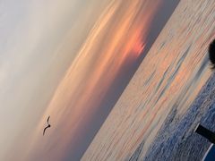 Ƃ񂳂̏M̓AN[Yւ̓eʐ^3