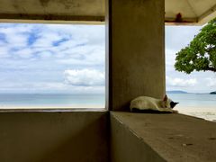 vanitỹRhCr[`ւ̓eʐ^1