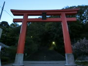 ЂȂ肳̓_ЁiʐVc`V{j̓eʐ^1