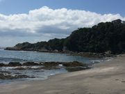 ǵy2024NJݒ~zYC̓eʐ^1