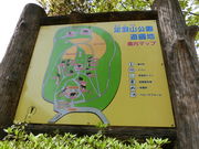 ЂȂ肳̑HRVni~jj̓eʐ^1