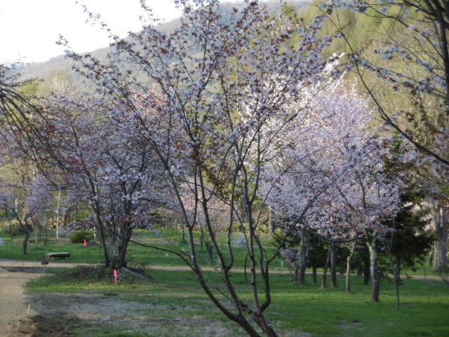 �G�]�U�N���@_JR����w