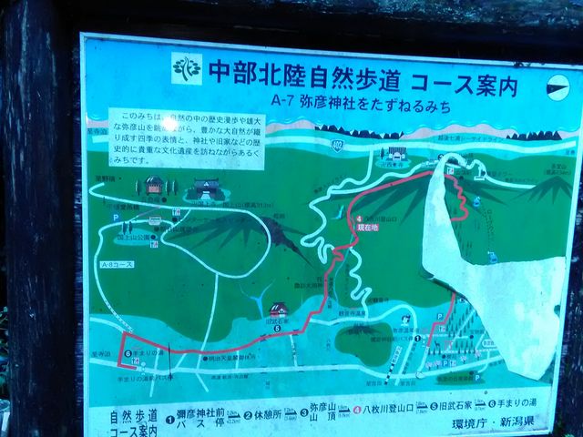 肻Ȃ̖FREoREkR̓eʐ^1