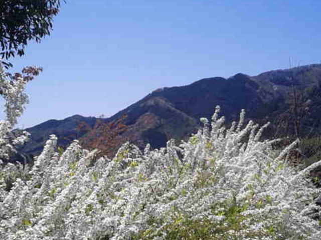 ẨÌΑēű݂Ì΁v̓eʐ^3