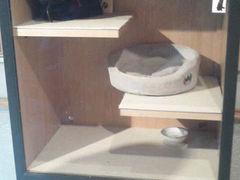 �Â���̖��񋽓y���p�ٖ{�قւ̓��e�ʐ^1