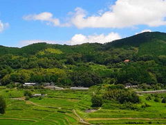 Â̔璬E嚸a̒Icւ̓eʐ^1