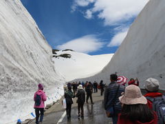 ĎRq̗RAy[gyxRzւ̓eʐ^1