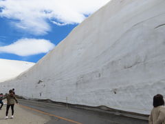 ĎRq̗RAy[gyxRzւ̓eʐ^2