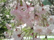 ẨÌΑēű݂Ì΁v̓eʐ^2