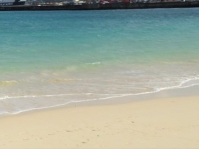 �p�C�i�K�}�r�[�`_�p�C�i�K�}�r�[�`