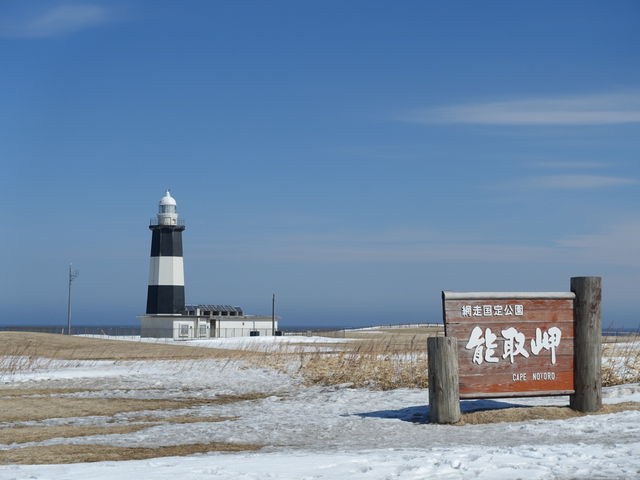 ������f���܂�_�\�斦�C��